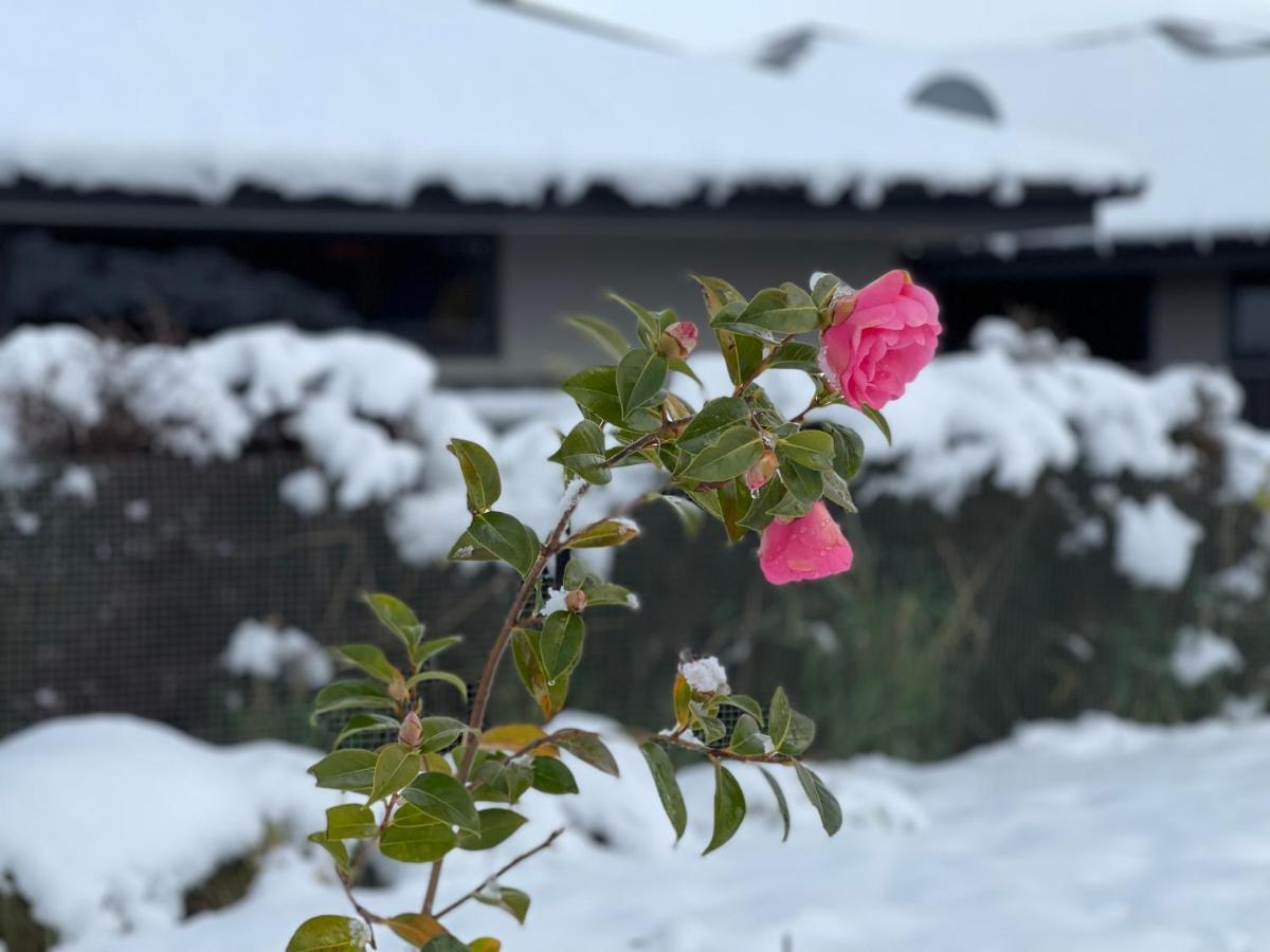 Alice Garden